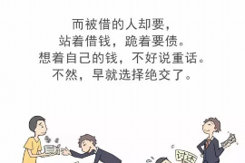 饶河专业讨债公司有哪些核心服务？